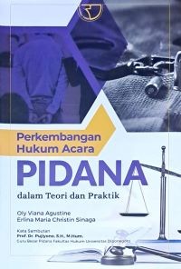 Image of Perkembangan Hkukum Acara Pidana dalam Teori dan Praktik